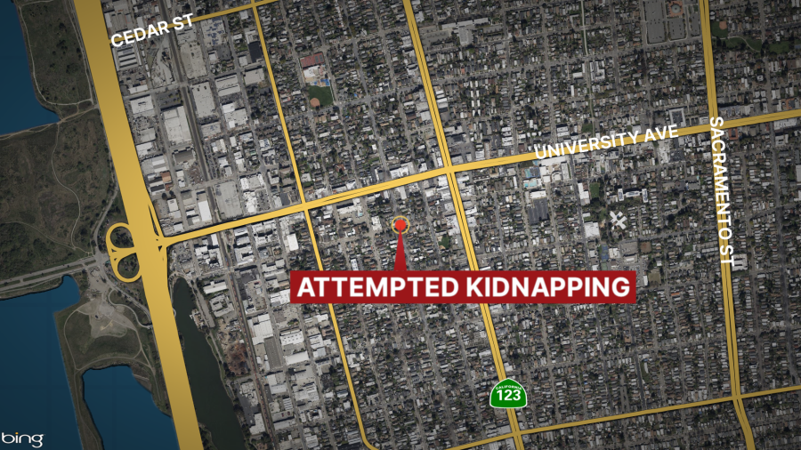 attempted kidnapping