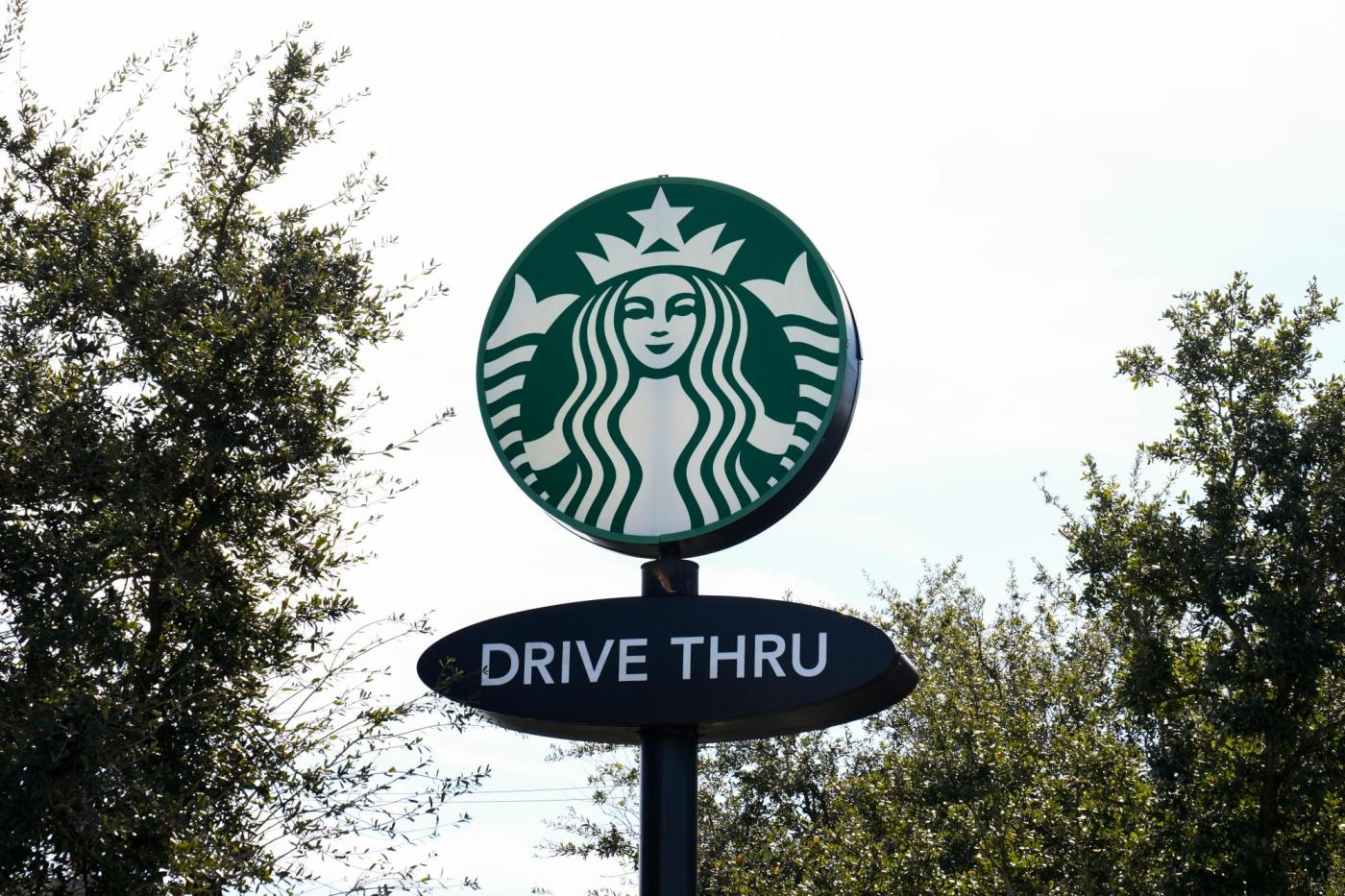 Earns Starbucks 11156 9wK4fC