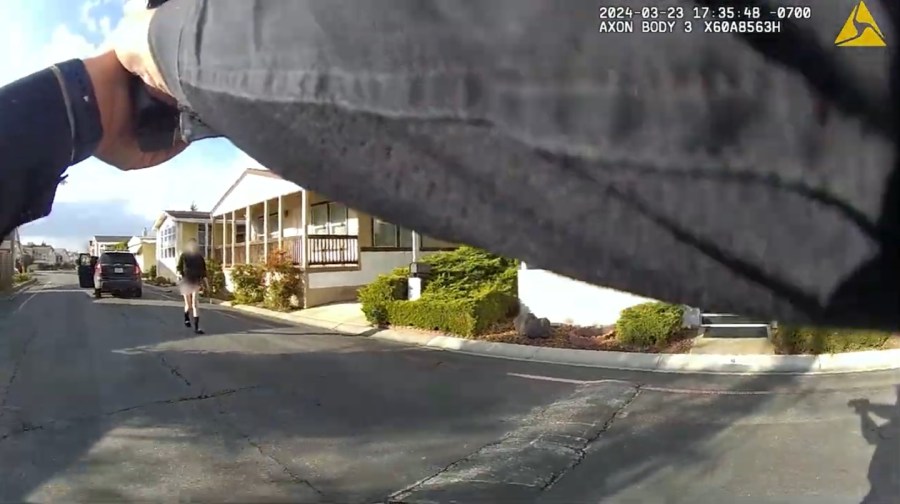 sunnyvale dps D9PSLy