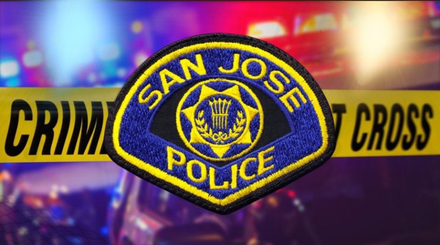 San Jose woman accused of organized theft crimes arrested 1 GM2zpbJboAEiS9h GBoX9F