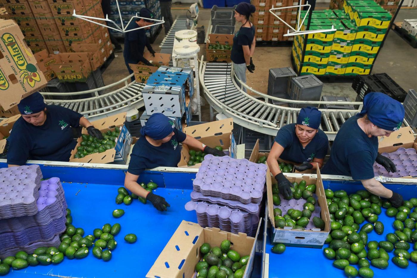 Mexico US Tariffs 49538 htXnjr