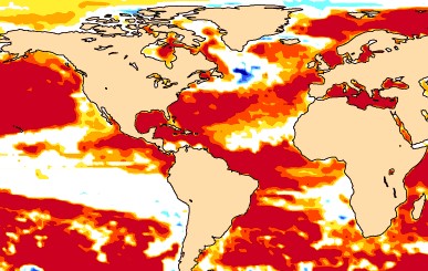 SST July 2025a 5gNMAT