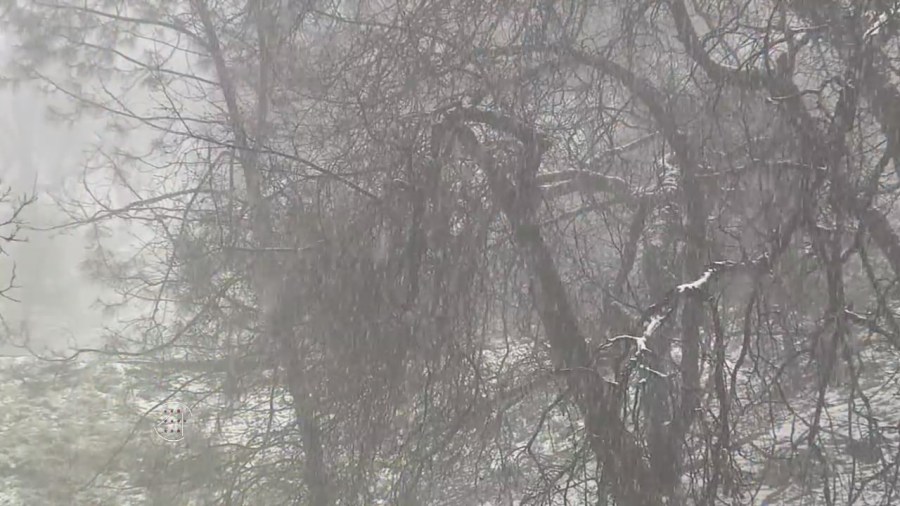 Snow on top of Mt. Hamilton leads to road closures: video 2 snapshot 1 edmtb5