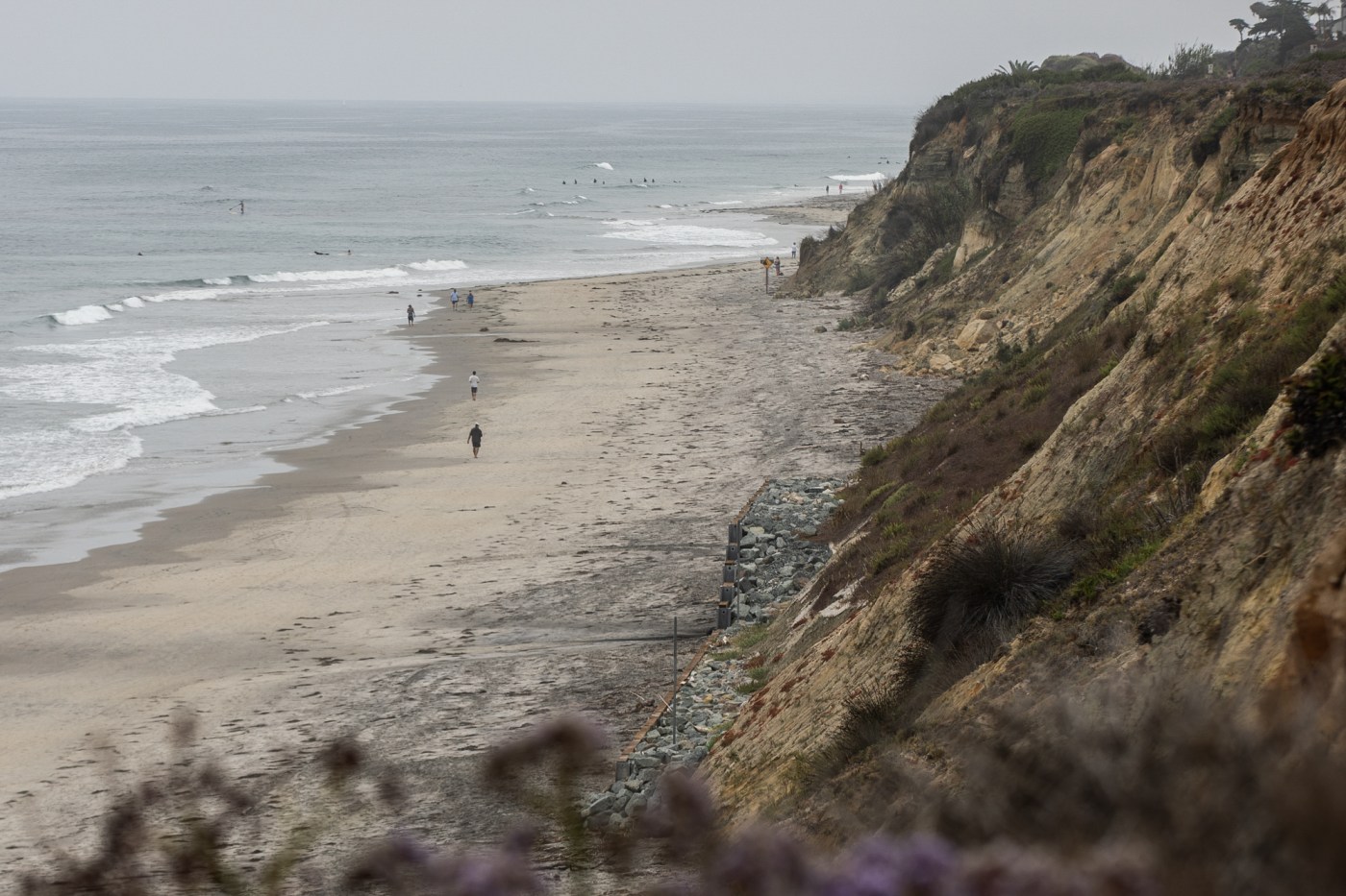 OCR Z CARLSBAD FINE 0118 nCE3yp