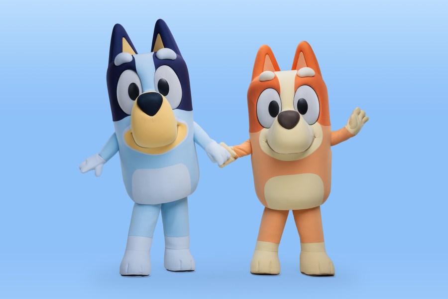 Bingo and Bluey DisneyParks oCAV58