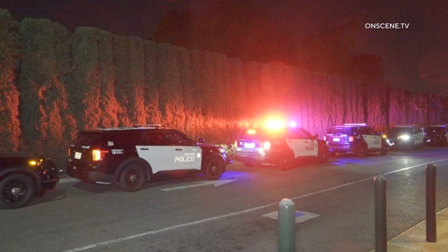 Disneyland swatting 1 dosJKs