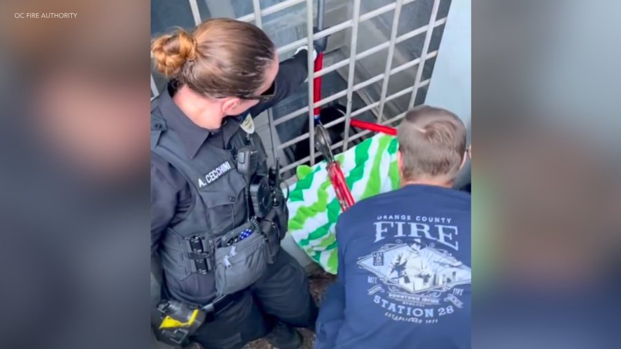 Irvine parking garage cat rescue 3 61bjCG