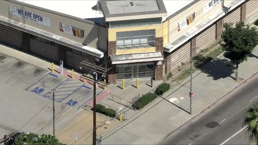 NoHo thrift store suspicious item 9PolrX