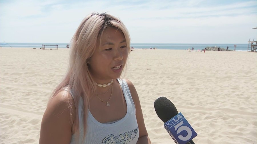 newport beach shark surfer zuIhTK