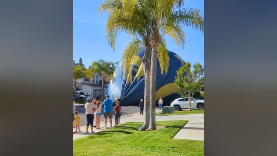 Copy of mug or photo bkg 6 7 HF3nhZ