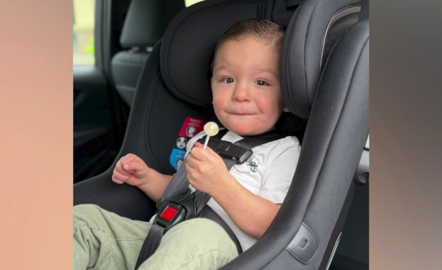 Jaxon j8ZXy2
