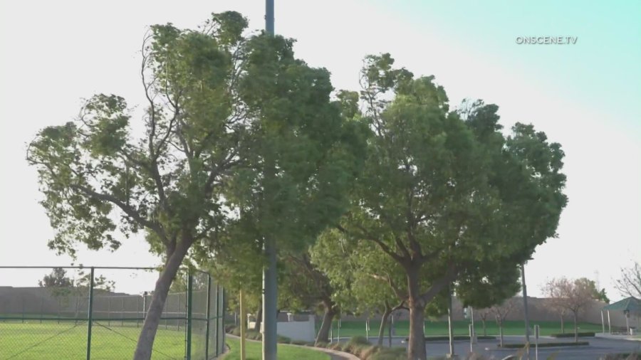 fontana winds 5mKcWX