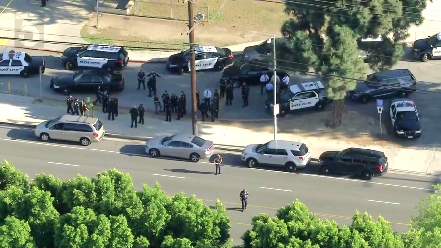 snapshot 15 3 z0b4Ys