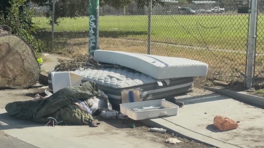 snapshot 19 1 P136EF