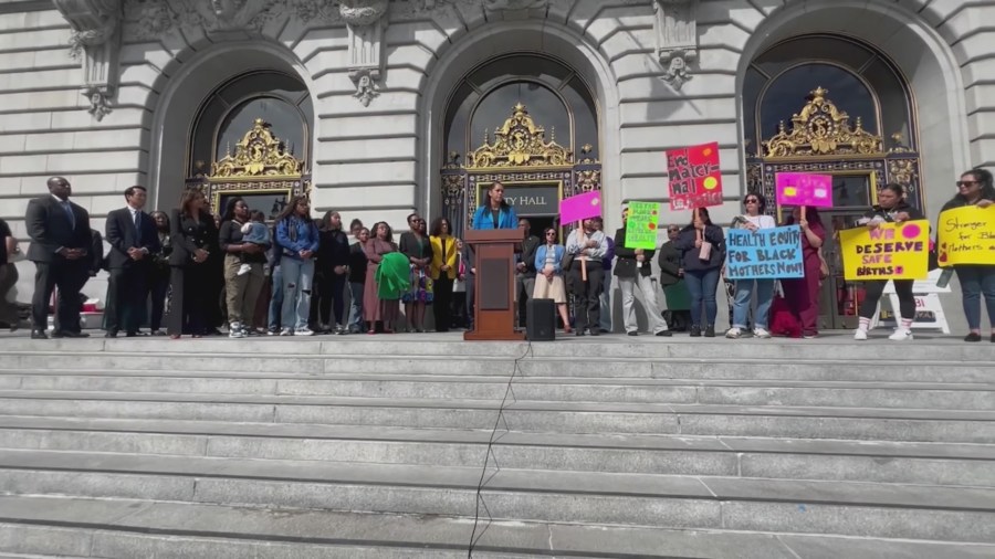 snapshot 289004 COwPY8