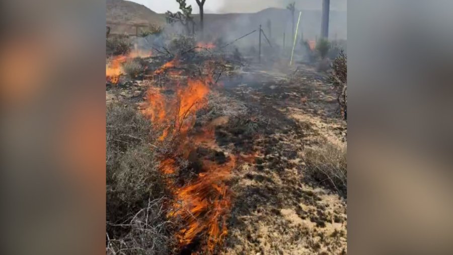 social skyline fire IJlTQ3