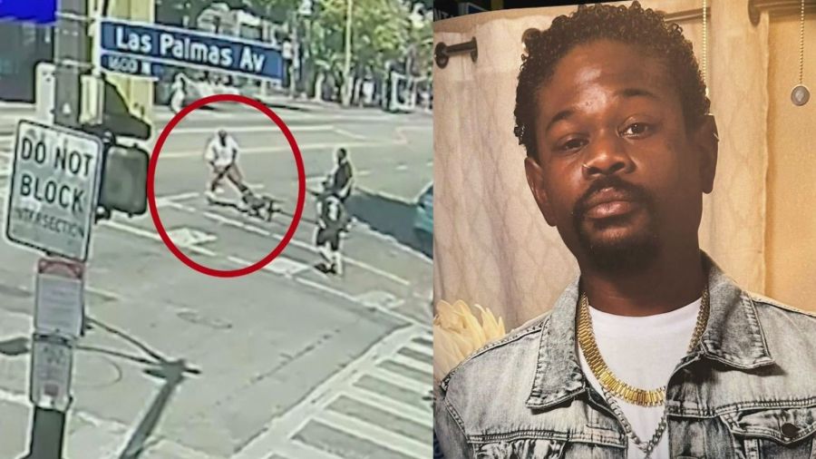 Hollywood deadly stabbing dog attack