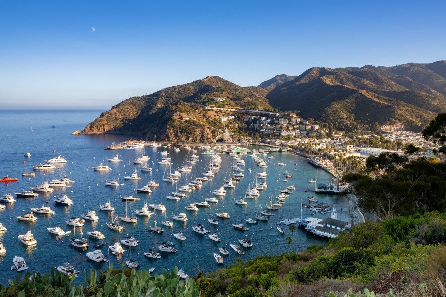 catalina island 2 5WERfX