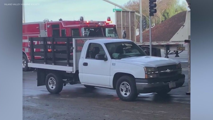 inland valley humane stolen truck W5J1jP