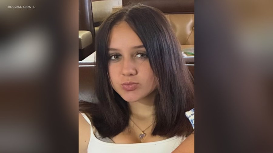 oak park missing elise peloso iAOf8l