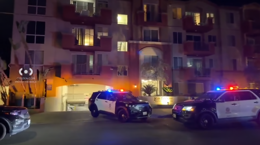 ‘Screaming woman’ call leads to police fatally shooting a dog in Canoga Park 1 Screen Shot 2026 06 15 at 10.41.56 AM moVZjj