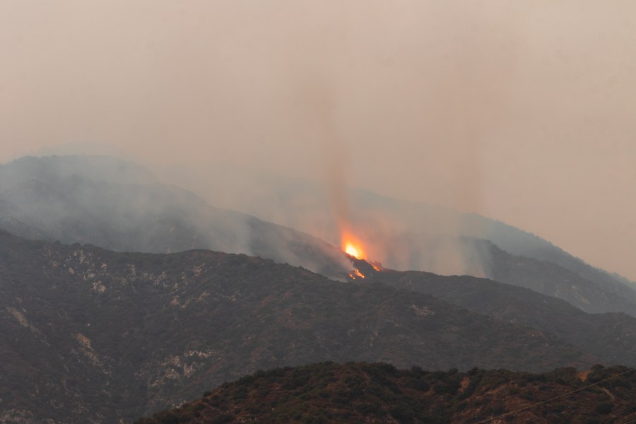 el dorado wildfire yucapia yzBzSo